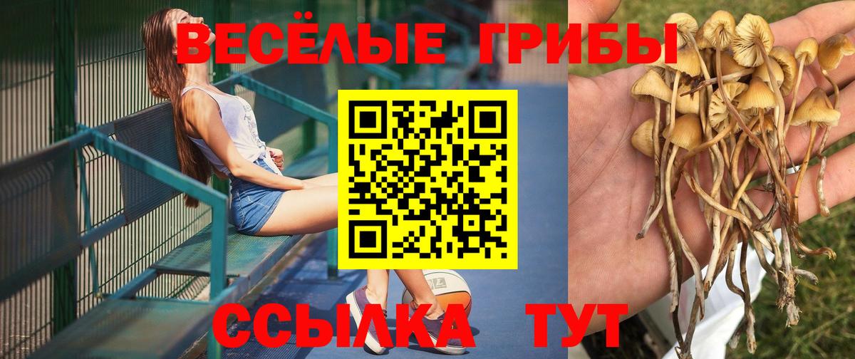 Галлюциногенные грибы мицелий  цены наркотик  Вход с VPN  Гудермес  Галлюциногенные грибы Magic Shrooms 